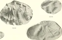 An illustration from Greek moulds (1903)