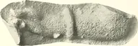 An illustration from Greek moulds (1903)