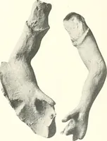 An illustration from Greek moulds (1903)