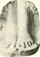 An illustration from Greek moulds (1903)