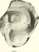 An illustration from Greek moulds (1903)