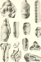 An illustration from Greek moulds (1903)