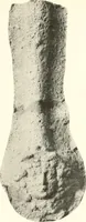 An illustration from Greek moulds (1903)