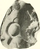 An illustration from Greek moulds (1903)