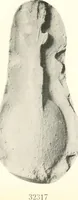 An illustration from Greek moulds (1903)