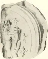 An illustration from Greek moulds (1903)