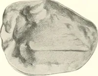 An illustration from Greek moulds (1903)