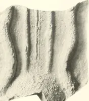 An illustration from Greek moulds (1903)