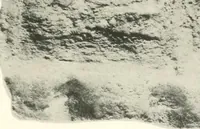 An illustration from Greek moulds (1903)
