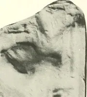 An illustration from Greek moulds (1903)