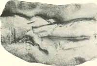 An illustration from Greek moulds (1903)
