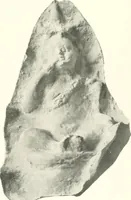 An illustration from Greek moulds (1903)