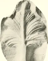 An illustration from Greek moulds (1903)