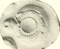 An illustration from Greek moulds (1903)