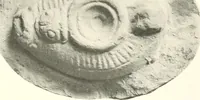 An illustration from Greek moulds (1903)