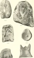 An illustration from Greek moulds (1903)