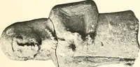 Picture 3 of 113 from Greek sculpture (1903), leaf 110