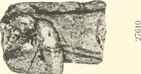 An illustration from Greek sculpture (1903)