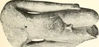 An illustration from Greek sculpture (1903)