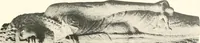 An illustration from Greek sculpture (1903)