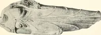 Picture 36 of 113 from Greek sculpture (1903), leaf 126