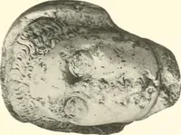 An illustration from Greek sculpture (1903)