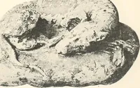 An illustration from Greek sculpture (1903)