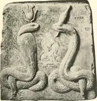 Picture 86 of 113 from Greek sculpture (1903), leaf 156