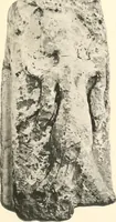 An illustration from Greek sculpture (1903)