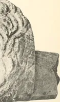 An illustration from Greek sculpture (1903)