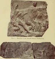 Picture 26 of 70 from Greek sculpture, its spirit and principles (1903), leaf 445