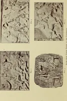 An illustration from Greek sculpture, its spirit and principles (1903)