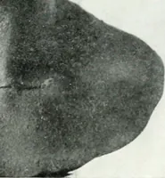 Picture 17 of 83 from Greek sculpture and modern art, two lectures delivered to the students of the Royal academy of London (1914), leaf 115