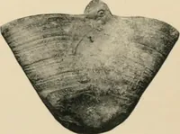 An illustration from Greek vases (1911)