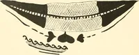 An illustration from Greek vases (1911)