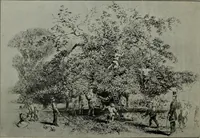 An illustration from Greenwich Park: its history and associations (1902)