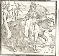 An illustration from Le ingeniose sorti, composte per Francesco Marcolini da Forli : intitulate Giardino di pensieri (1550)
