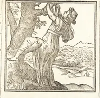 An illustration from Le ingeniose sorti, composte per Francesco Marcolini da Forli : intitulate Giardino di pensieri (1550)