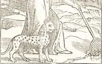 An illustration from Le ingeniose sorti, composte per Francesco Marcolini da Forli : intitulate Giardino di pensieri (1550)