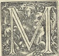 An illustration from Georgii Agricolae De re metallica : libri XII. Quibus officia, instrumenta, machinae, ac omnia deni[que] ad metallicam spectantia, non modo luculentissimè describuntur, sed & per effigies, suis locis infertas, adiunctis latinis, germanicis [que] appellationibus ita ob oculos ponuntur, ut clarius tradi non possint. ; Eiusdem De animantibus subterraneis liber, (1556)