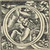 An illustration from Georgii Agricolae De re metallica : libri XII. Quibus officia, instrumenta, machinae, ac omnia deni[que] ad metallicam spectantia, non modo luculentissimè describuntur, sed & per effigies, suis locis infertas, adiunctis latinis, germanicis [que] appellationibus ita ob oculos ponuntur, ut clarius tradi non possint. ; Eiusdem De animantibus subterraneis liber, (1556)