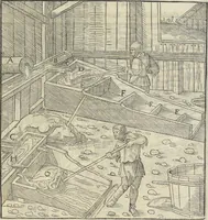Picture 146 of 283 from Georgii Agricolae De re metallica : libri XII. Quibus officia, instrumenta, machinae, ac omnia deni[que] ad metallicam spectantia, non modo luculentissimè describuntur, sed & per effigies, suis locis infertas, adiunctis latinis, germanicis [que] appellationibus ita ob oculos ponuntur, ut clarius tradi non possint. ; Eiusdem De animantibus subterraneis liber, (1556), leaf 256