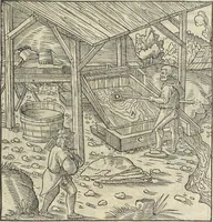 Picture 150 of 283 from Georgii Agricolae De re metallica : libri XII. Quibus officia, instrumenta, machinae, ac omnia deni[que] ad metallicam spectantia, non modo luculentissimè describuntur, sed & per effigies, suis locis infertas, adiunctis latinis, germanicis [que] appellationibus ita ob oculos ponuntur, ut clarius tradi non possint. ; Eiusdem De animantibus subterraneis liber, (1556), leaf 260