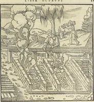 Picture 184 of 283 from Georgii Agricolae De re metallica : libri XII. Quibus officia, instrumenta, machinae, ac omnia deni[que] ad metallicam spectantia, non modo luculentissimè describuntur, sed & per effigies, suis locis infertas, adiunctis latinis, germanicis [que] appellationibus ita ob oculos ponuntur, ut clarius tradi non possint. ; Eiusdem De animantibus subterraneis liber, (1556), leaf 298