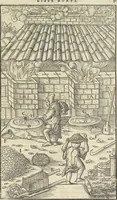 Picture 201 of 283 from Georgii Agricolae De re metallica : libri XII. Quibus officia, instrumenta, machinae, ac omnia deni[que] ad metallicam spectantia, non modo luculentissimè describuntur, sed & per effigies, suis locis infertas, adiunctis latinis, germanicis [que] appellationibus ita ob oculos ponuntur, ut clarius tradi non possint. ; Eiusdem De animantibus subterraneis liber, (1556), leaf 334