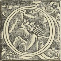 An illustration from Georgii Agricolae De re metallica : libri XII. Quibus officia, instrumenta, machinae, ac omnia deni[que] ad metallicam spectantia, non modo luculentissimè describuntur, sed & per effigies, suis locis infertas, adiunctis latinis, germanicis [que] appellationibus ita ob oculos ponuntur, ut clarius tradi non possint. ; Eiusdem De animantibus subterraneis liber, (1556)