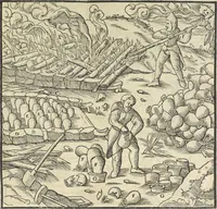 Picture 211 of 283 from Georgii Agricolae De re metallica : libri XII. Quibus officia, instrumenta, machinae, ac omnia deni[que] ad metallicam spectantia, non modo luculentissimè describuntur, sed & per effigies, suis locis infertas, adiunctis latinis, germanicis [que] appellationibus ita ob oculos ponuntur, ut clarius tradi non possint. ; Eiusdem De animantibus subterraneis liber, (1556), leaf 360