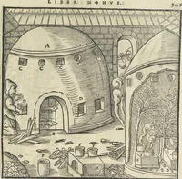 An illustration from Georgii Agricolae De re metallica : libri XII. Quibus officia, instrumenta, machinae, ac omnia deni[que] ad metallicam spectantia, non modo luculentissimè describuntur, sed & per effigies, suis locis infertas, adiunctis latinis, germanicis [que] appellationibus ita ob oculos ponuntur, ut clarius tradi non possint. ; Eiusdem De animantibus subterraneis liber, (1556)
