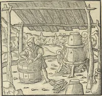 Picture 214 of 283 from Georgii Agricolae De re metallica : libri XII. Quibus officia, instrumenta, machinae, ac omnia deni[que] ad metallicam spectantia, non modo luculentissimè describuntur, sed & per effigies, suis locis infertas, adiunctis latinis, germanicis [que] appellationibus ita ob oculos ponuntur, ut clarius tradi non possint. ; Eiusdem De animantibus subterraneis liber, (1556), leaf 363