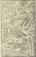 An illustration from Georgii Agricolae De re metallica : libri XII. Quibus officia, instrumenta, machinae, ac omnia deni[que] ad metallicam spectantia, non modo luculentissimè describuntur, sed & per effigies, suis locis infertas, adiunctis latinis, germanicis [que] appellationibus ita ob oculos ponuntur, ut clarius tradi non possint. ; Eiusdem De animantibus subterraneis liber, (1556)